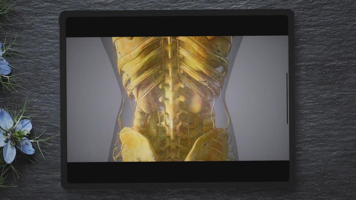 Humix video