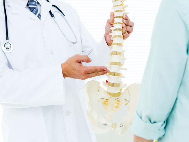 Spine: Everything you need to know (anatomy, back pain)