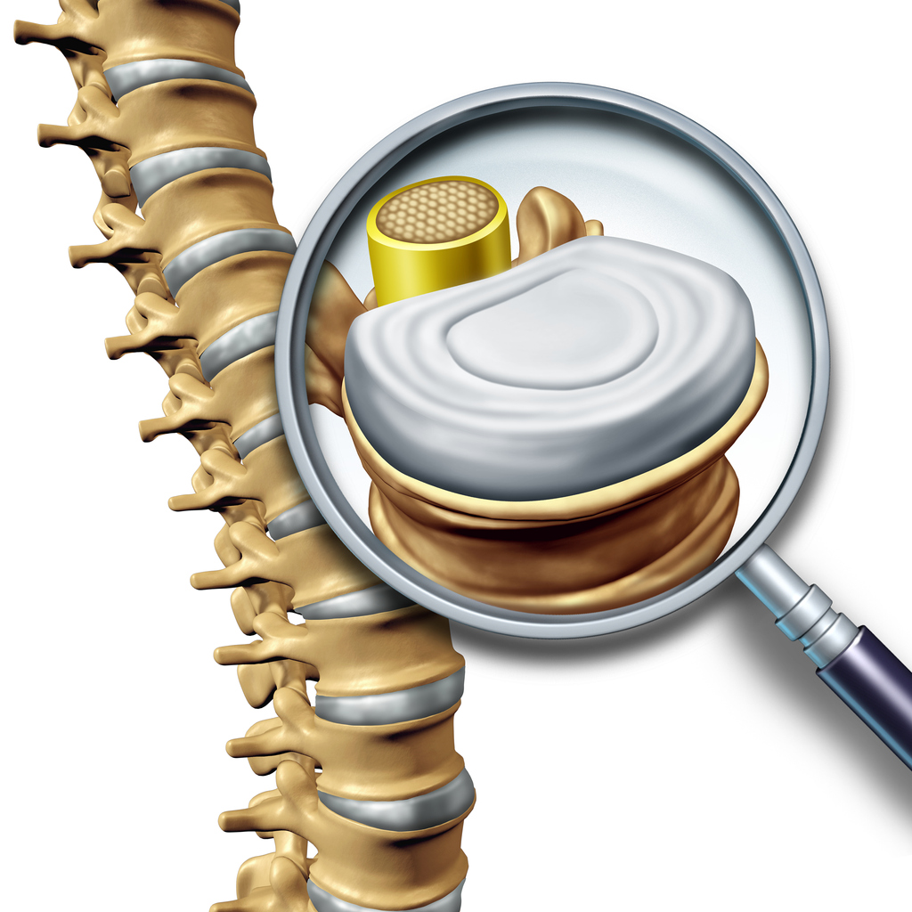 thoracolumbar spine