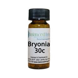 Bryonia