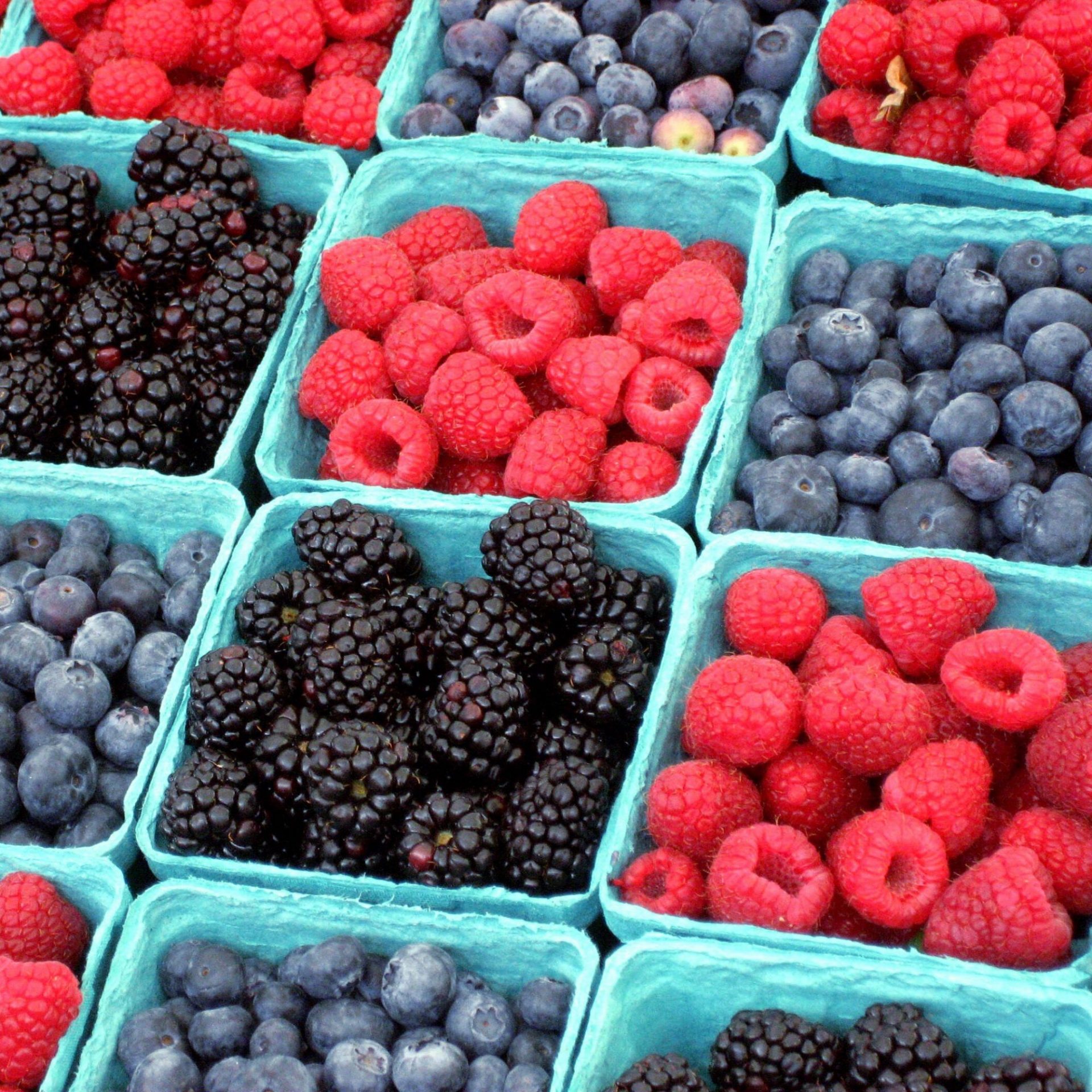 baies comme aliments anti-inflammatoires puissants