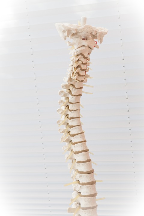 lumbar lordosis