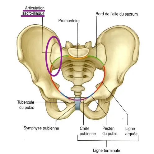 Artrodese sacroilíaca: Fusão da articulação sacroilíaca