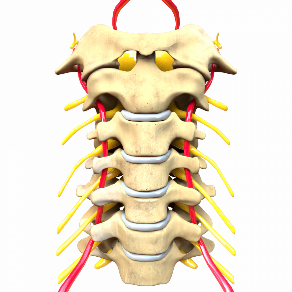 cervikale spinalnerver, der forårsager myrer i hænderne