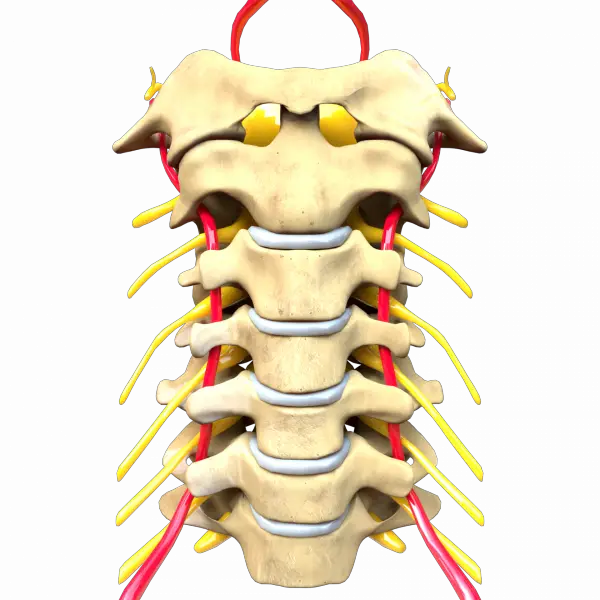 Rectitude du rachis cervical : Que faire ? (Explications) | Lombafit