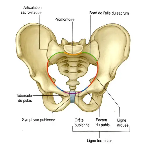 Fractura de l'articulació sacroilíaca de la pelvis