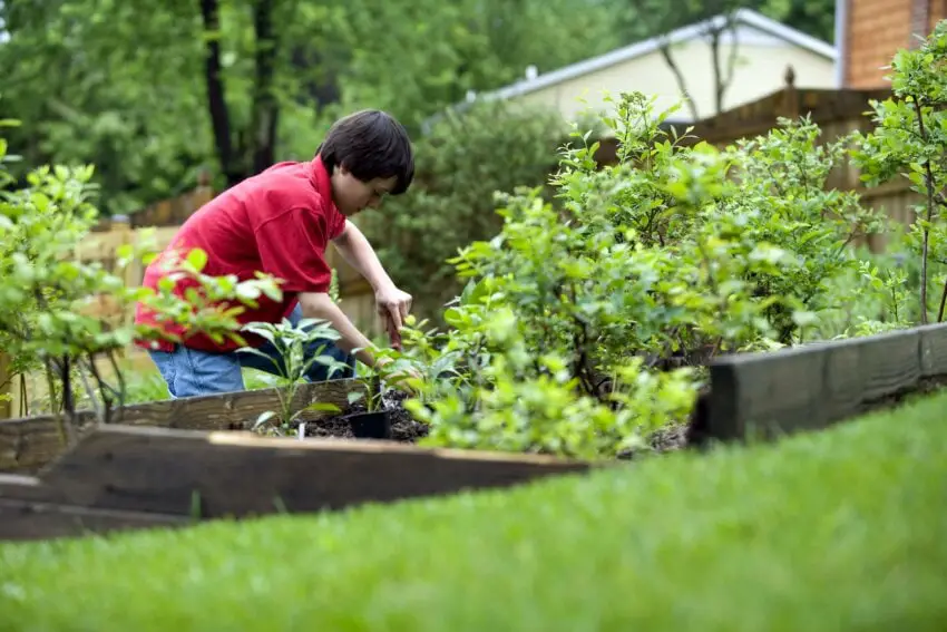 Gartenarbeit Hüftschmerzen beim Laufen