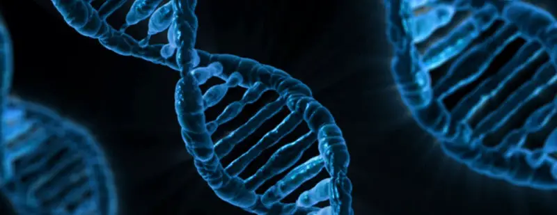 الجينات الوراثية متلازمة كروزون