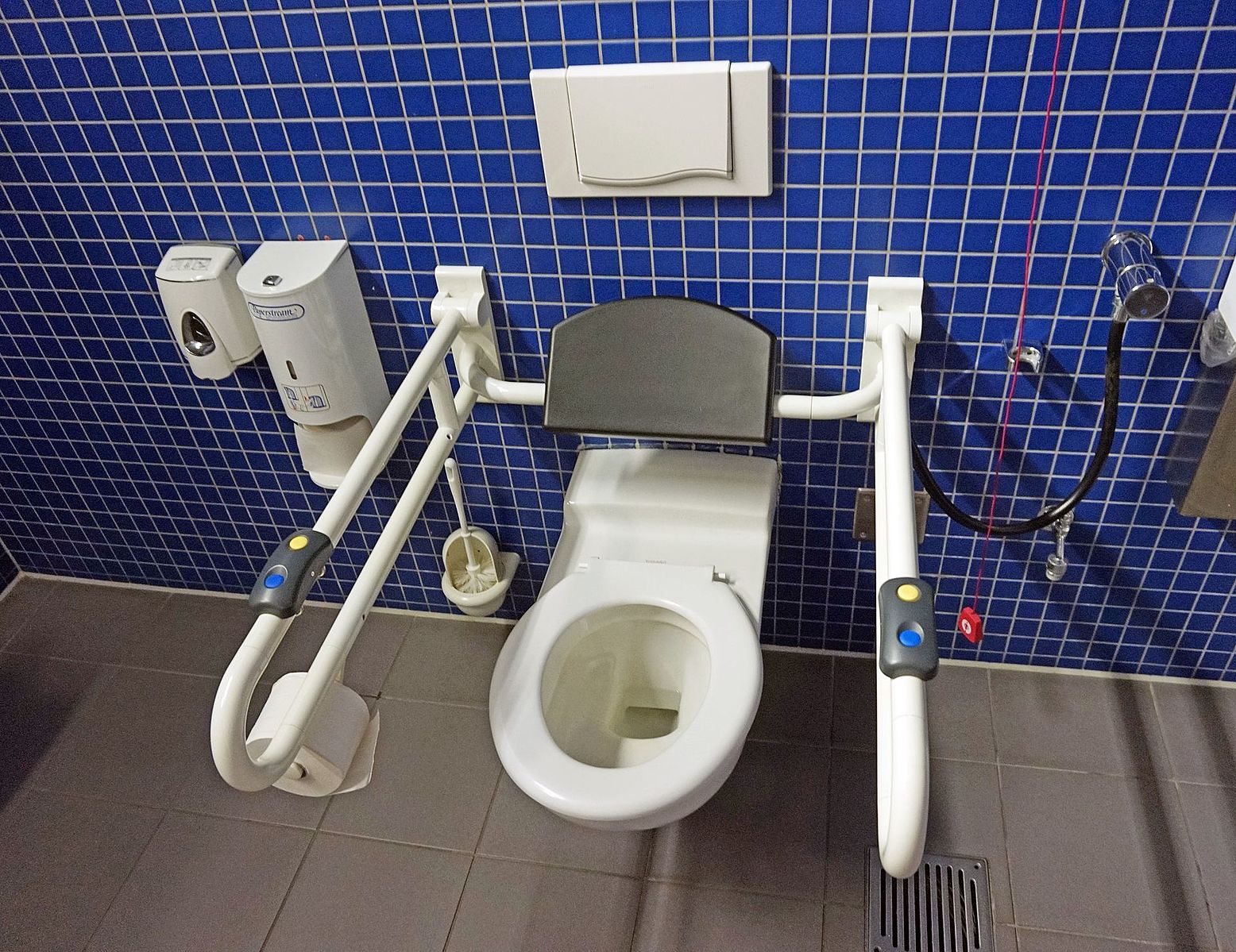 toilette adaptée