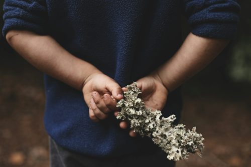 Person hält weiße Blumen